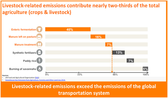 food-and-agriculture
